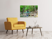 Load image into Gallery viewer, Canvas print Water Spectacle
