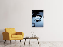 Load image into Gallery viewer, Canvas print Black And White Photograph Waterlily
