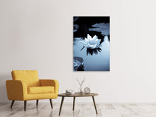 Load image into Gallery viewer, Canvas print Black And White Photograph Waterlily
