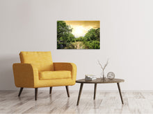 Load image into Gallery viewer, Canvas print At The End Of The forest
