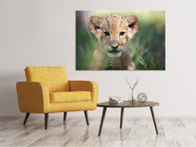 Load image into Gallery viewer, Canvas print Lion Baby
