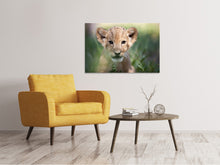 Load image into Gallery viewer, Canvas print Lion Baby
