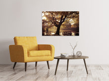 Load image into Gallery viewer, Canvas print Landscape Park
