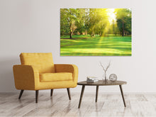 Load image into Gallery viewer, Canvas print In The Park
