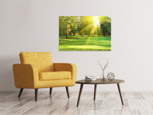 Load image into Gallery viewer, Canvas print In The Park

