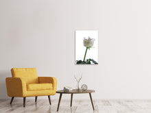 Load image into Gallery viewer, Canvas print On Behalf Of The Rose

