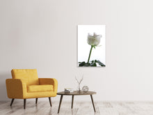 Load image into Gallery viewer, Canvas print On Behalf Of The Rose
