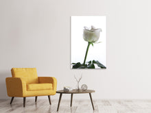 Load image into Gallery viewer, Canvas print On Behalf Of The Rose

