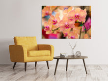 Load image into Gallery viewer, Canvas print Exotic Orchids
