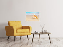 Load image into Gallery viewer, Canvas print The Shell On The Beach
