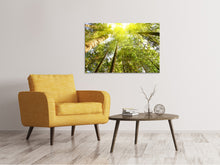 Load image into Gallery viewer, Canvas print Treetops In The Sun
