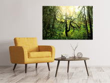 Load image into Gallery viewer, Canvas print Dreamy Forest
