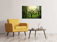 Load image into Gallery viewer, Canvas print Dreamy Forest
