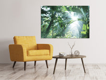 Load image into Gallery viewer, Canvas print Jungle Star
