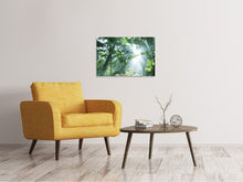 Load image into Gallery viewer, Canvas print Jungle Star
