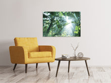 Load image into Gallery viewer, Canvas print Jungle Star
