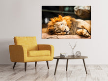 Load image into Gallery viewer, Canvas print Relaxed Lion
