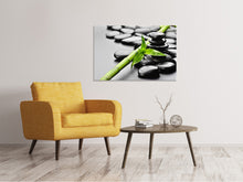 Load image into Gallery viewer, Canvas print Polished Stones
