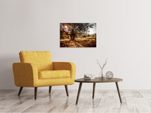 Load image into Gallery viewer, Canvas print Olive Grove
