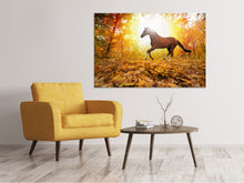 Load image into Gallery viewer, Canvas print Whole Blood In Autumn Forest
