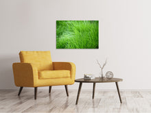 Load image into Gallery viewer, Canvas print Blades Of Grass
