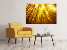 Load image into Gallery viewer, Canvas print Autumn Forest
