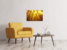 Load image into Gallery viewer, Canvas print Autumn Forest
