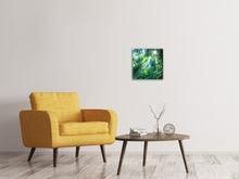 Load image into Gallery viewer, Canvas print In Tropical Forest
