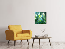 Load image into Gallery viewer, Canvas print In Tropical Forest
