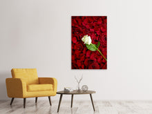 Load image into Gallery viewer, Canvas print Bed Of Roses
