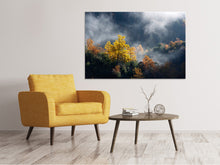 Load image into Gallery viewer, Canvas print Moonlight Forest

