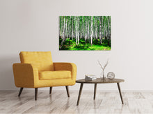 Load image into Gallery viewer, Canvas print Summerly Birch Forest
