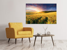 Load image into Gallery viewer, Canvas print A Flower Field At Sunrise
