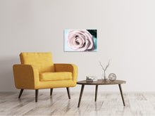 Load image into Gallery viewer, Canvas print Pastel Rose
