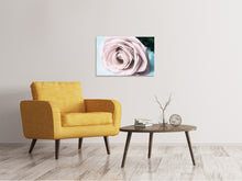 Load image into Gallery viewer, Canvas print Pastel Rose
