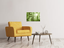 Load image into Gallery viewer, Canvas print Nibelungen Forest
