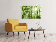 Load image into Gallery viewer, Canvas print Nibelungen Forest
