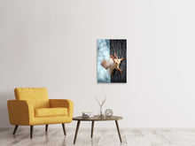 Load image into Gallery viewer, Canvas print The Squirrel
