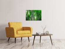 Load image into Gallery viewer, Canvas print Bamboo Forest
