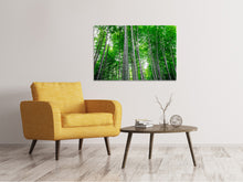 Load image into Gallery viewer, Canvas print Bamboo Forest
