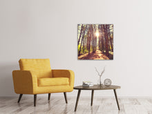 Load image into Gallery viewer, Canvas print Light At The End Of The Forest Path
