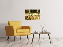 Load image into Gallery viewer, Canvas print The Siberian Tiger
