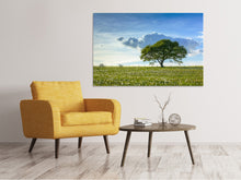 Load image into Gallery viewer, Canvas print Spring Tree
