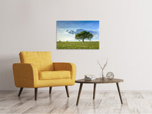 Load image into Gallery viewer, Canvas print Spring Tree
