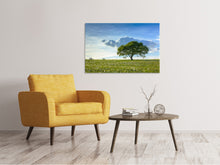 Load image into Gallery viewer, Canvas print Spring Tree
