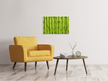 Load image into Gallery viewer, Canvas print Bamboo Wall
