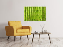 Load image into Gallery viewer, Canvas print Bamboo Wall
