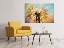 Load image into Gallery viewer, Canvas print XXL Dandelion
