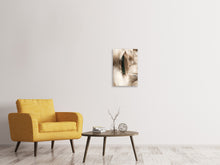 Load image into Gallery viewer, Canvas print Feathers
