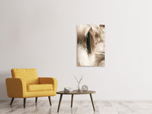 Load image into Gallery viewer, Canvas print Feathers
